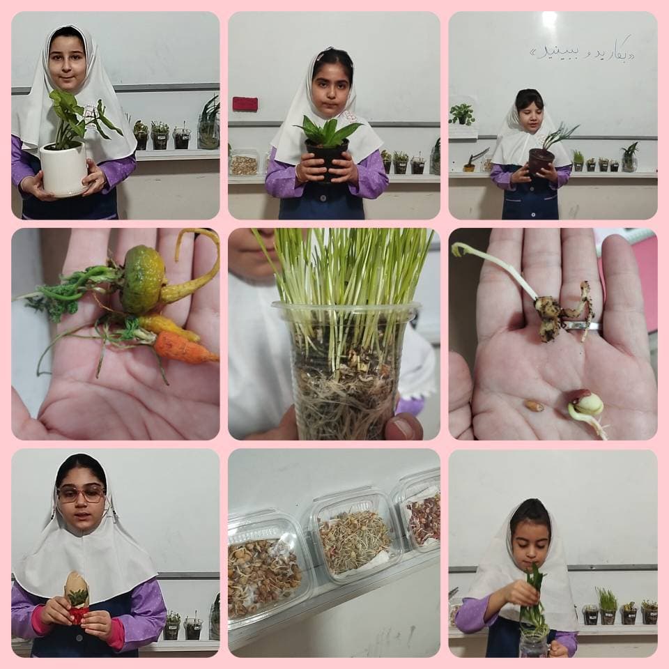 دبستان غیر دولتی سرای دانش